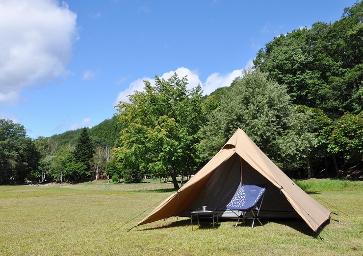 ポリコットン？しかも大きくなった？今度のPANDA（パンダ）は伊達じゃ