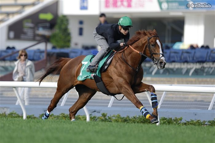 アーバンシック - Urban Chic - 競走馬データベース | 競馬ラボ