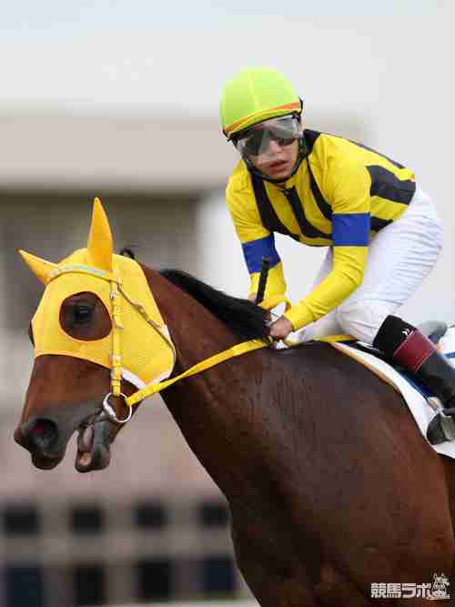 2012年最多勝ルーキー・菱田裕二騎手(後編) | 菱田裕二騎手 | 競馬ラボ