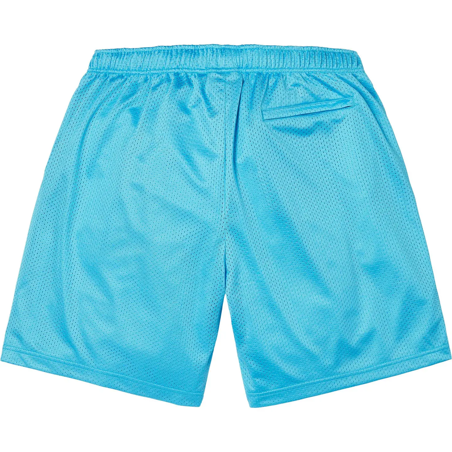 Small Box Baggy Mesh Short | Supreme 25ss