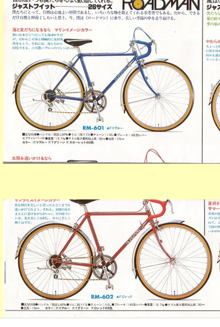 ブリジストン「ロードマン」の思い出 | クロモリロードバイクで頑張る！
