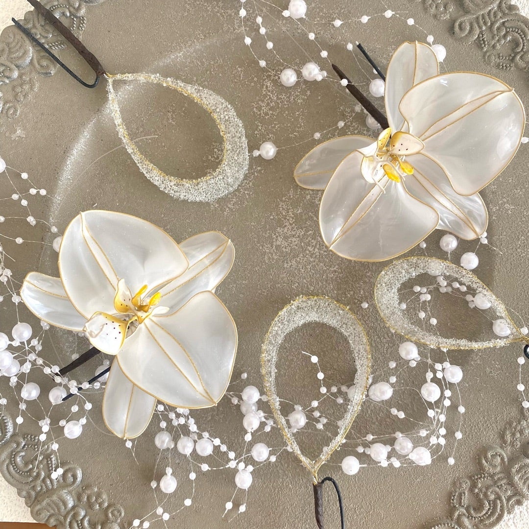 胡蝶蘭 | sparkling flower アメリカンフラワー(ディップアート)のこと