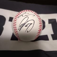 m35286816908_1.jpg?1730209199