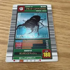 2026年最新】グランディスオオクワガタの人気アイテム - メルカリ