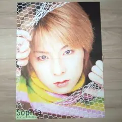 2026年最新】SOPHIA松岡充の人気アイテム - メルカリ