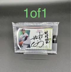 2026年最新】内藤尚行の人気アイテム - メルカリ