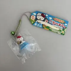 2026年最新】キティ 富士山の人気アイテム - メルカリ