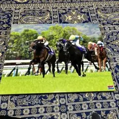 2026年最新】競馬 パネル 日刊の人気アイテム - メルカリ