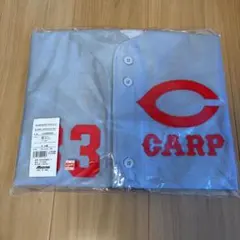 2026年最新】江藤智の人気アイテム - メルカリ