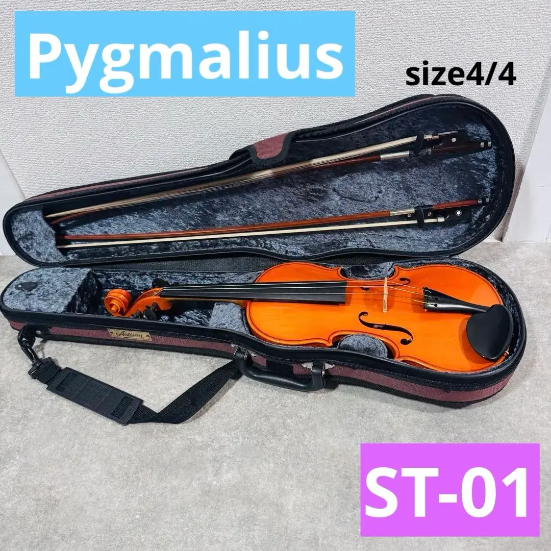 2026年最新】pygmaliusバイオリンの人気アイテム - メルカリ