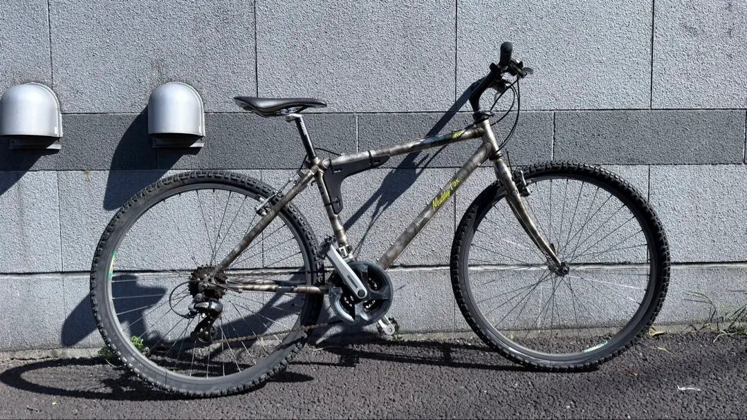 2026年最新】araya muddy foxの人気アイテム - メルカリ