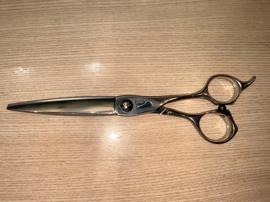 2026年最新】トギノン マリンシャークの人気アイテム - メルカリ