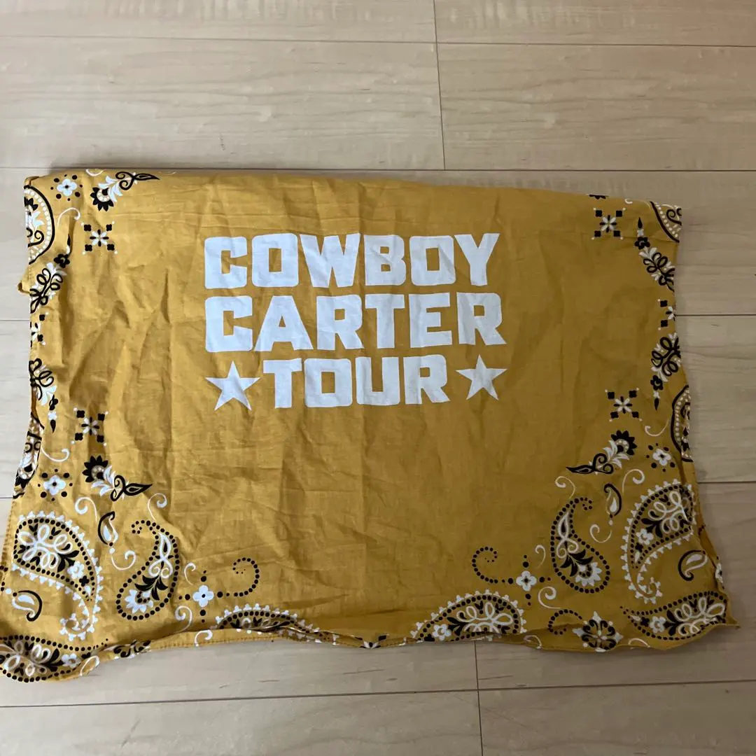 2026年最新】ビヨンセ カウボーイカーターの人気アイテム - メルカリ