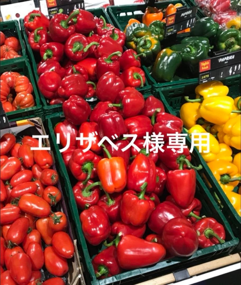 エリザベス（121） QUEEN ELIZABETH II THE 100TH ANNIVERSARY OF HER MAJESTY'S BIRTH