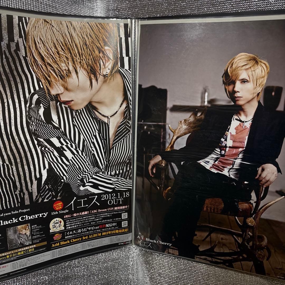 Acid Black Cherry ポスター 21枚