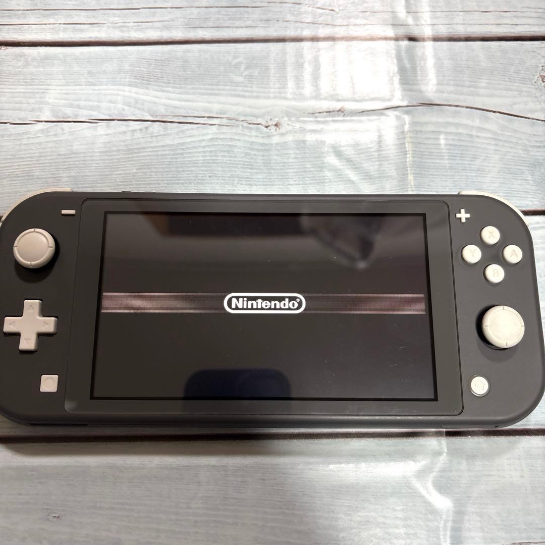 Switchライト本体のみ グレー 液晶難あり 訳ありジャンク品 - メルカリ