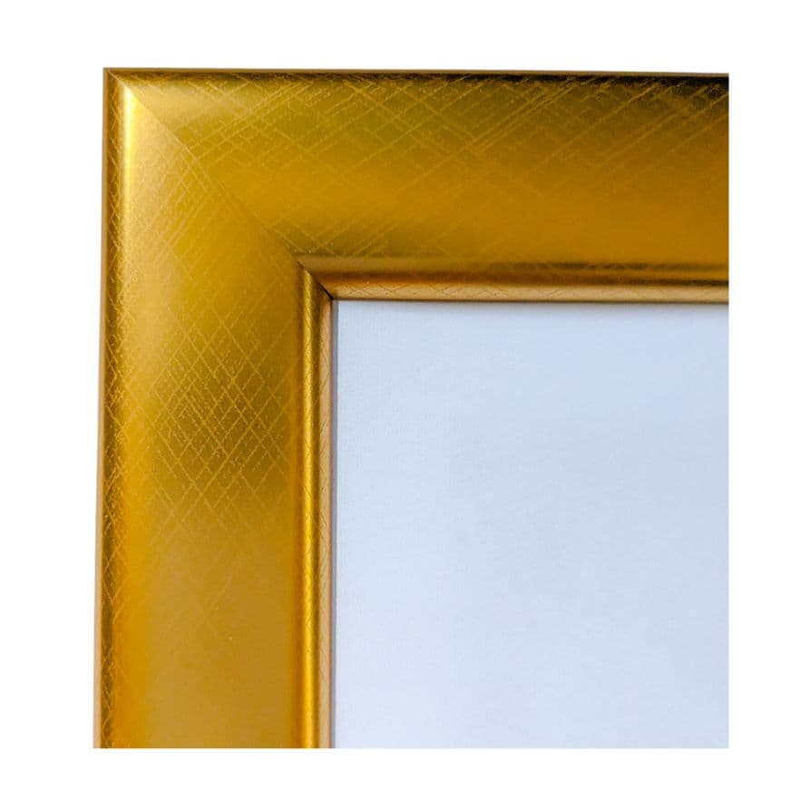開運！弁財天樣 絵画(和装) 芸術・芸能・金運アップ！ A4壁掛け額入り