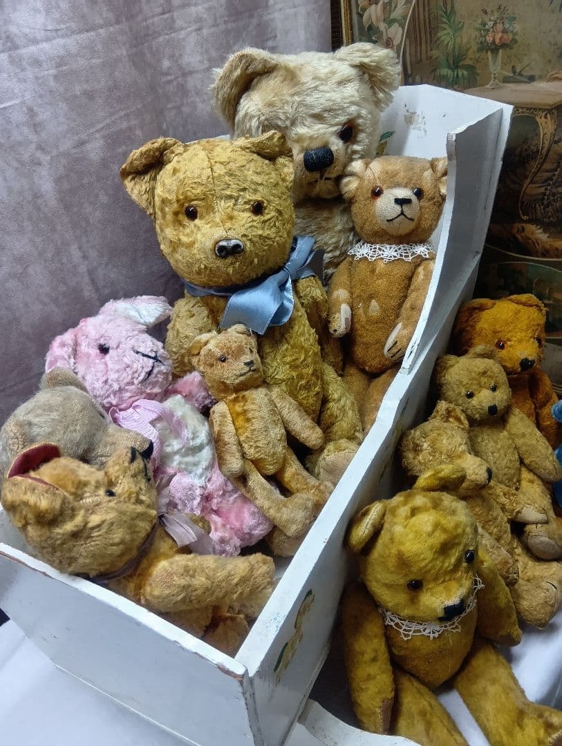 チコちゃん様専用♥イギリスからやって来たクリクリお目目の