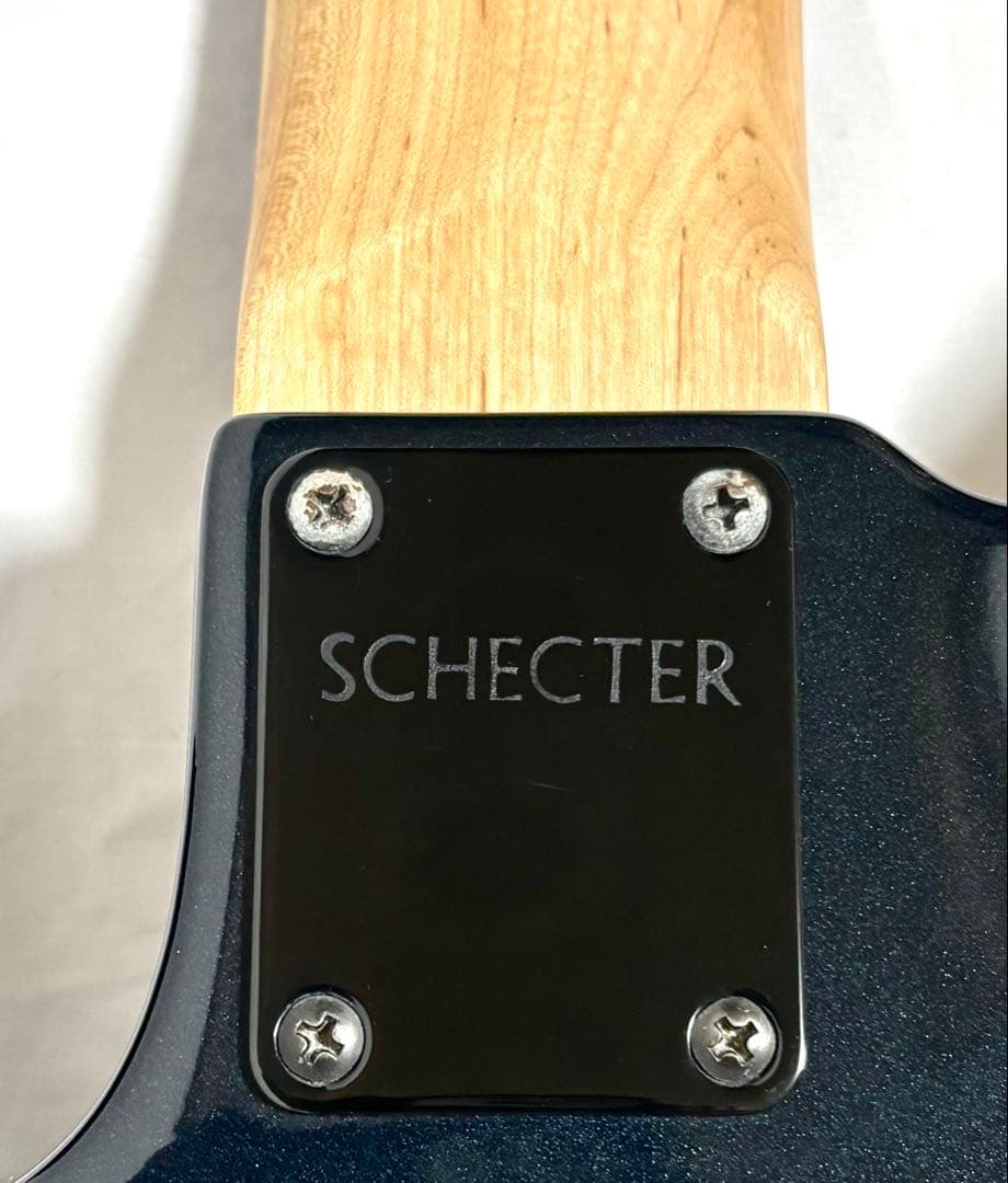 新品弦張替済】Progauge 7弦ギター フロイドローズ シェクター - メルカリ