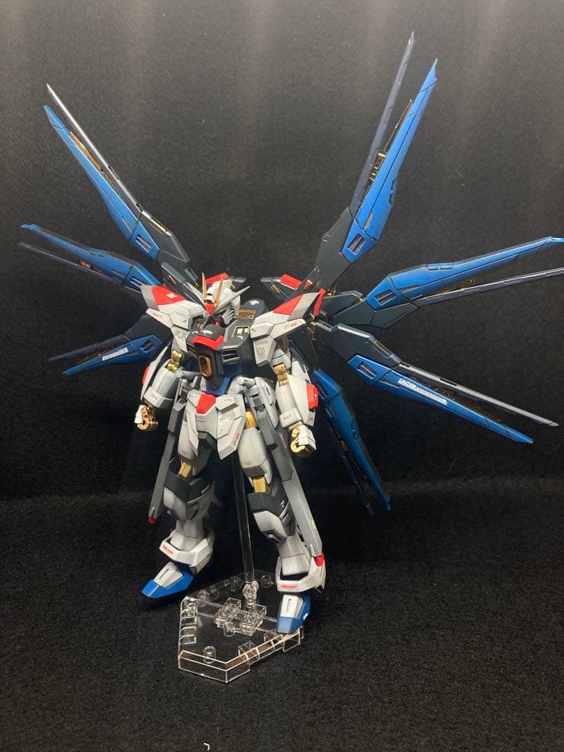 HG ストライクフリーダム弍式　塗装済　完成品
