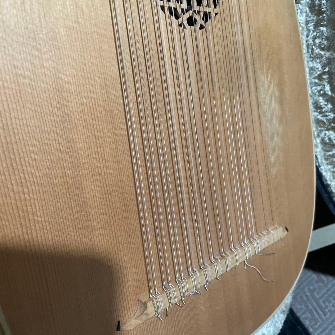 加納木魂13コースバロックリュート