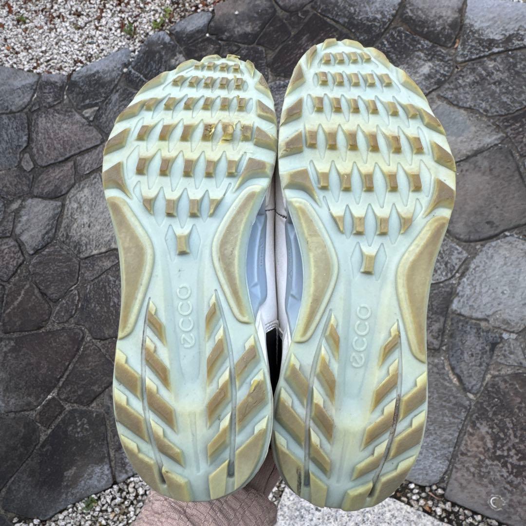 ECCO ゴルフシューズ ゴアテックスSURROUND BOA 25.5cm