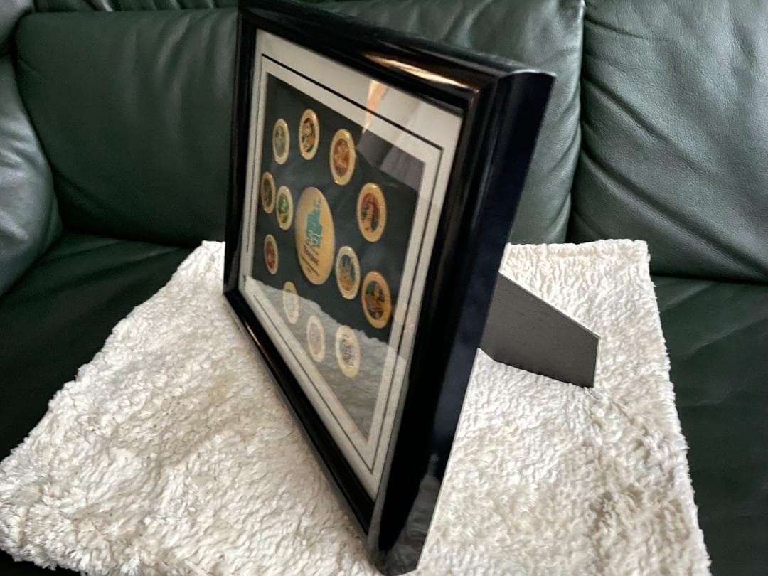 【ディズニーファンの貴方様へ】米国ディズニー３５周年記念ピン12個セット完全版