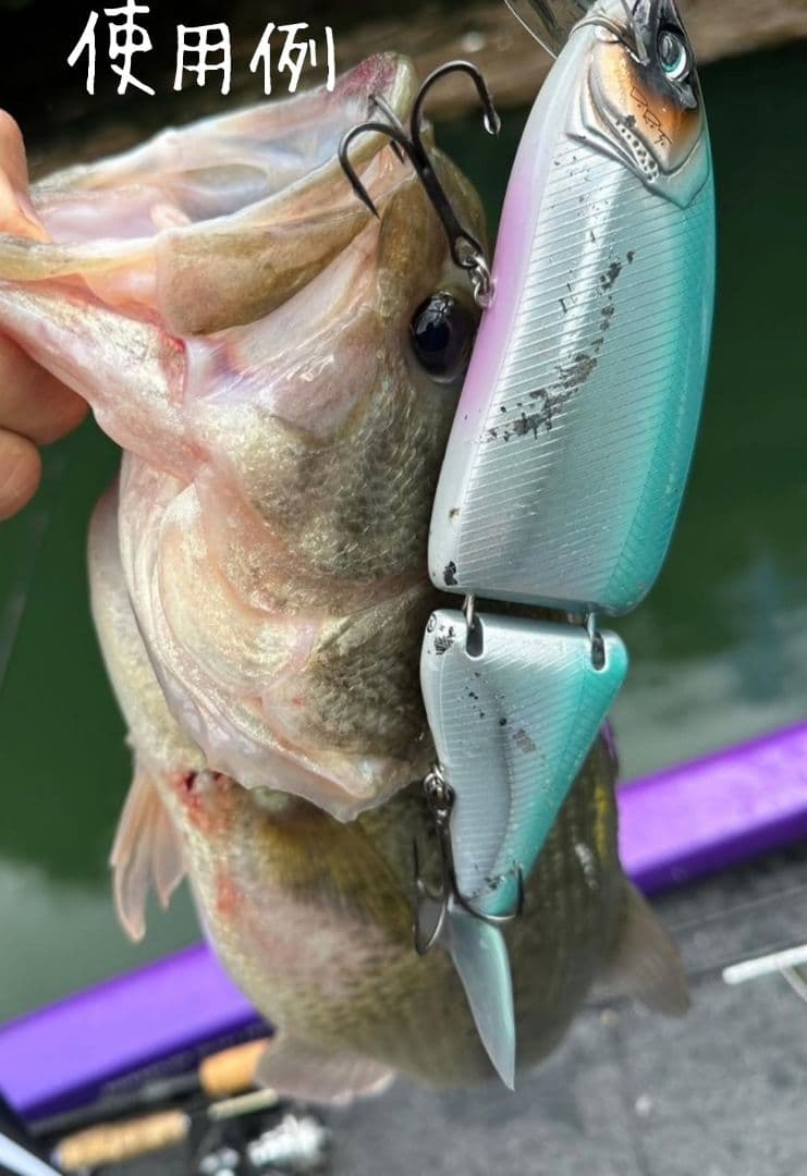 タッキー様専用タイニークラッシュ 、TRIBE WEED vr2、リップ、テール