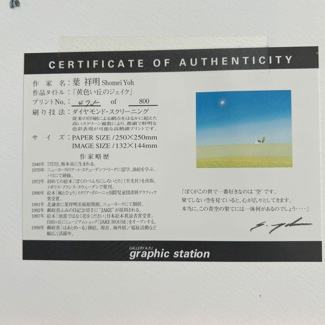 額絵】葉祥明 丘の上のジェイク ダイヤモンド スクリーニング - メルカリ