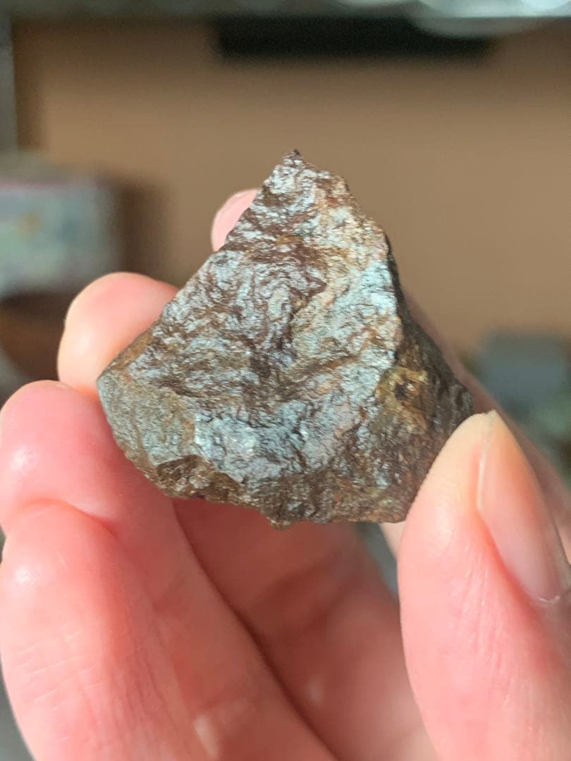 世界最古の石　46億年前の隕石コンドライト　太陽系最古の隕石　石質隕石　鉄隕石 コンドライト