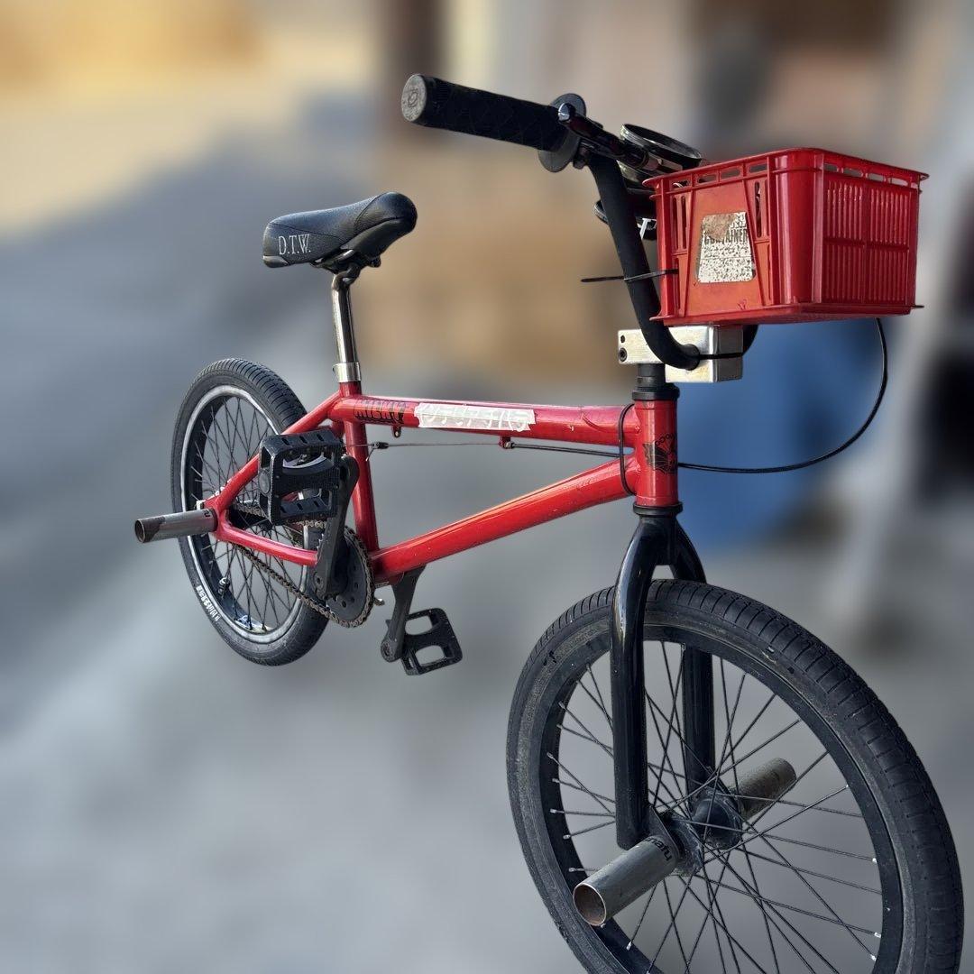 DTW BMX バイク レッド DK Step Up 14