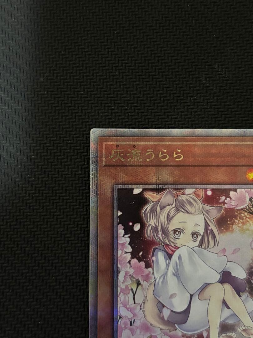 遊戯王 灰流うらら 絵違い 25thレア クオシク QCAC