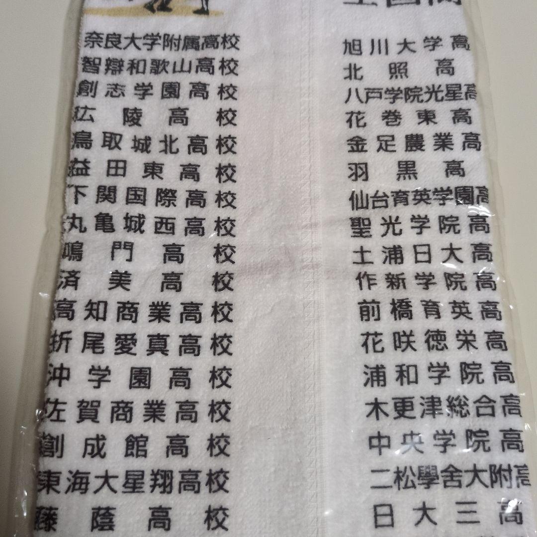 甲子園全国高校野球選手権大会第100回記念大会記念タオル残り1点送料