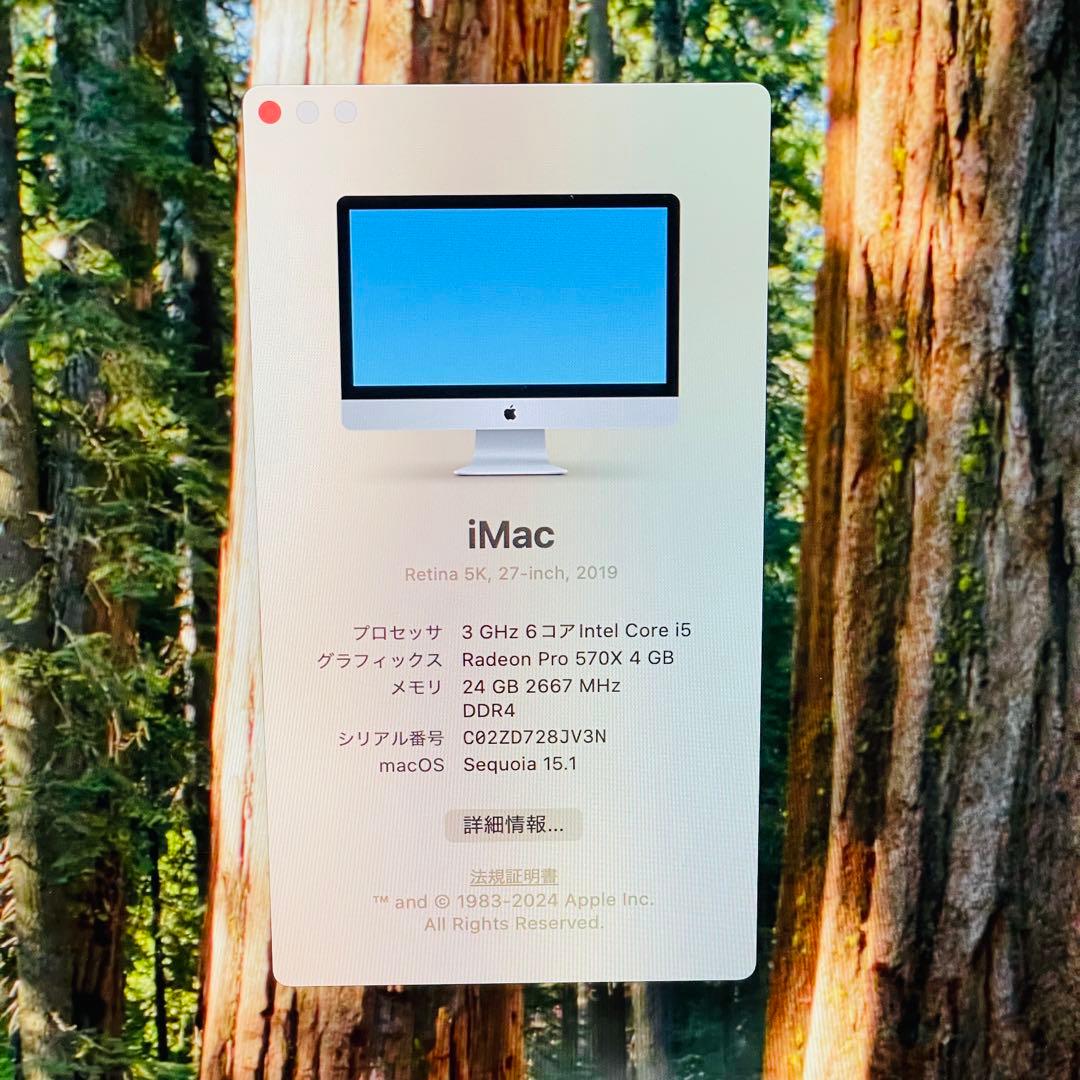 ジャンク品 Apple iMac Retina 5K 27インチ2019年モデル - メルカリ