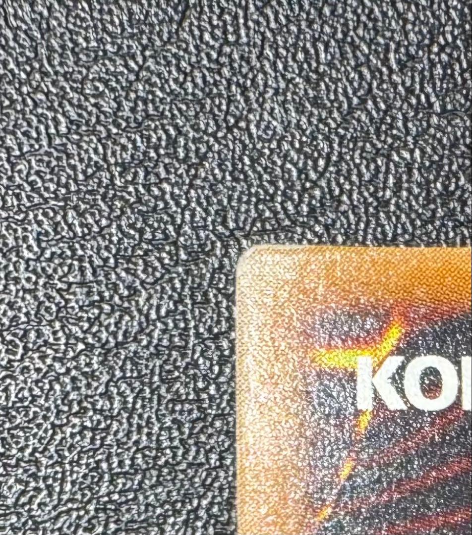 真紅眼の黒竜/レッドアイズブラックドラゴン/ ドラゴン族/遊戯王カード/レリーフ