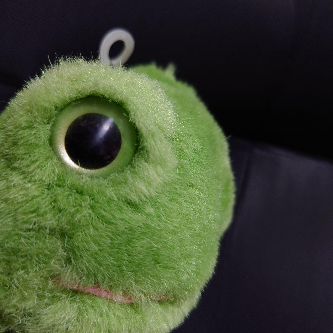 24K Polar Puff カエル ぬいぐるみ #4089 Riley