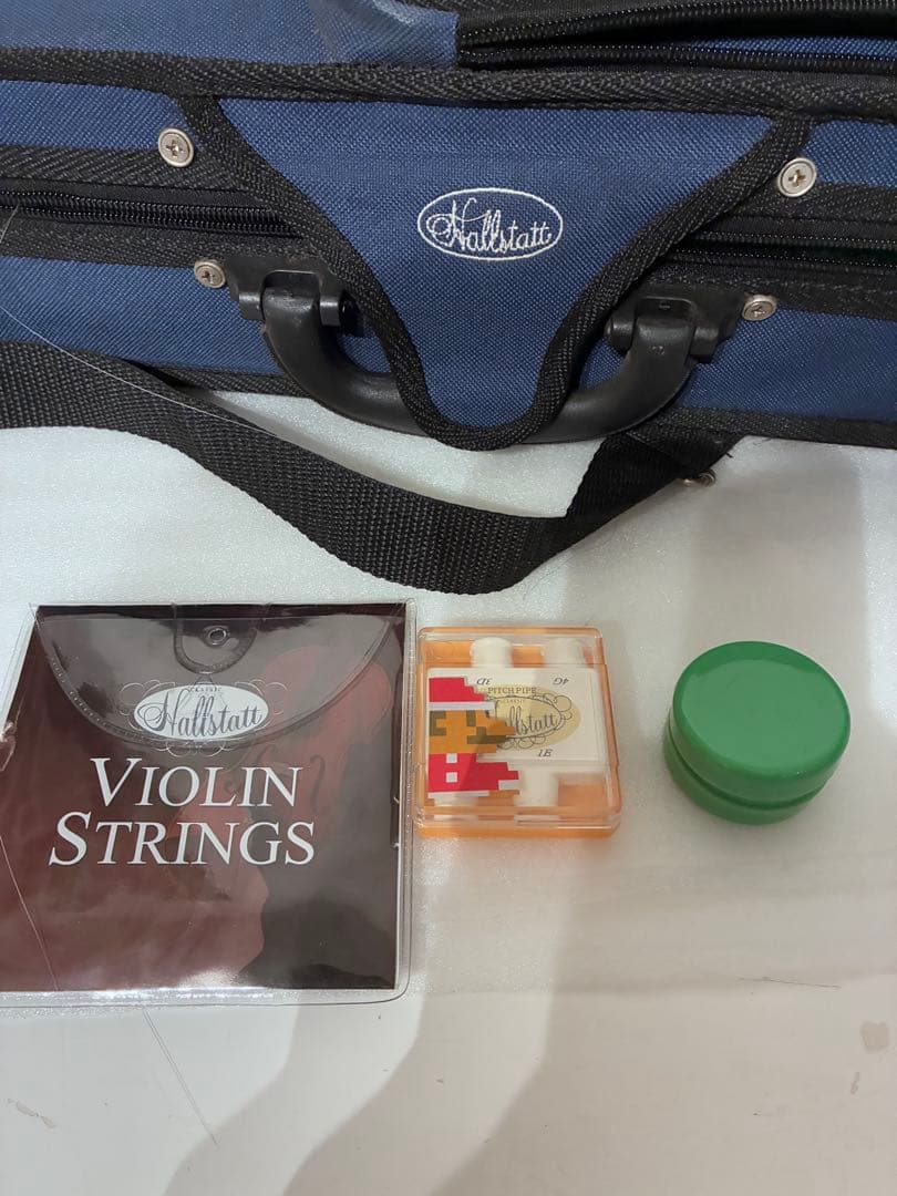 エレキバイオリン CV-210E 本体 弓 ケース【ジャンク】 - メルカリ