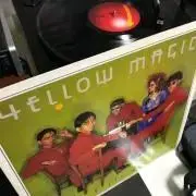 希少 Bacchus フェンダーヘッド期 フレットレスベース クラフト