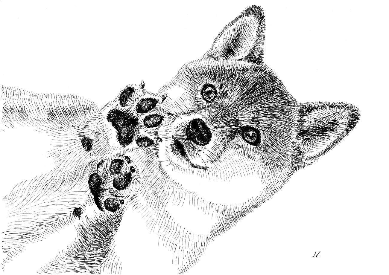 サイ 動物ペン画No.13 【公式通販】
